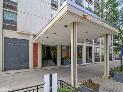 1355 N Sandburg Ter APT 509, Chicago, IL, 60610