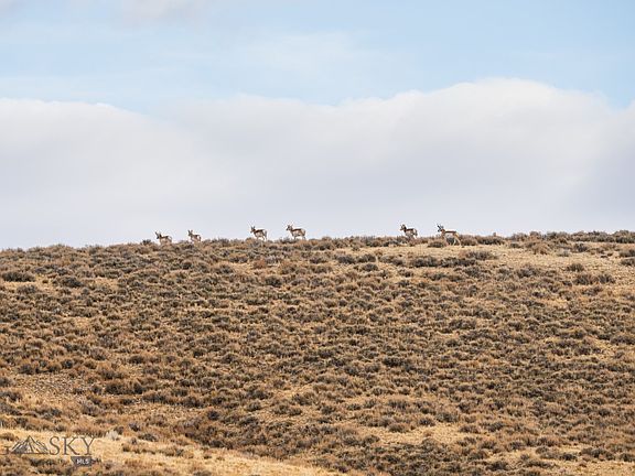 3rd image of Buster Brown Rd