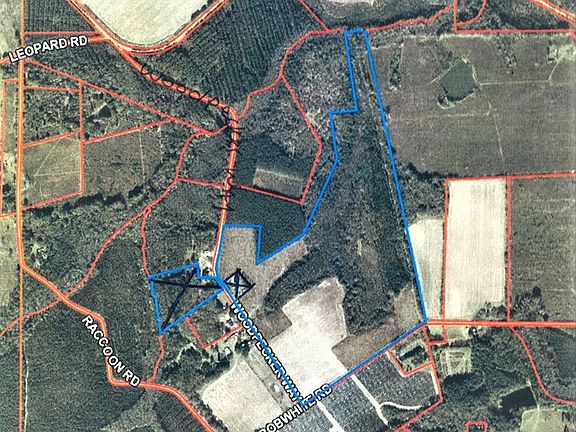 2nd image of 292 Woodpecker Way