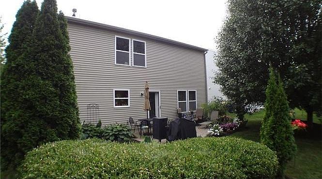 back view with trees
