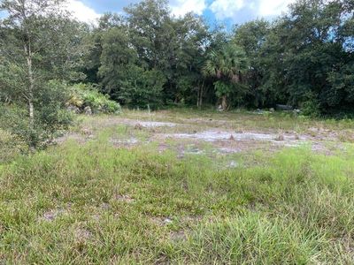 19996 NW 300th St, Okeechobee, FL, 34972