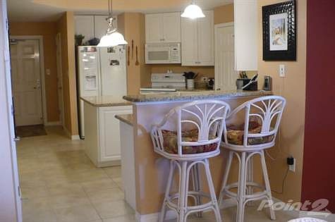 Kitchen/bar
