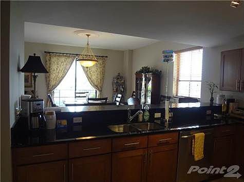 1st image of 8390 SW 72nd Ave APT 427