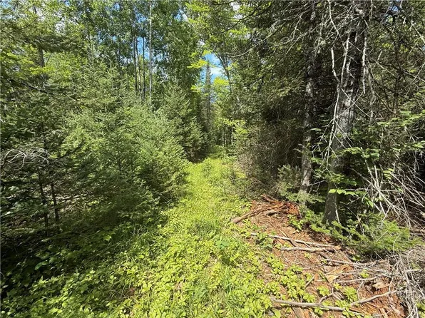 00 County Road L, Lake Nebagamon, WI 54849
