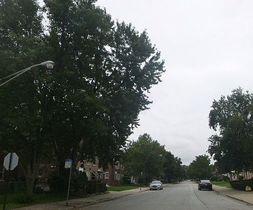 3rd image of 9628 S Yates Blvd