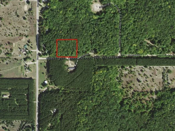 0 Snowflake Trl, Mancelona, MI 49659