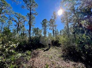 Beacon Cir LOT 42, Georgetown, FL 32139