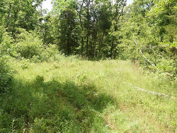 5th image of 17550 County Road 1170