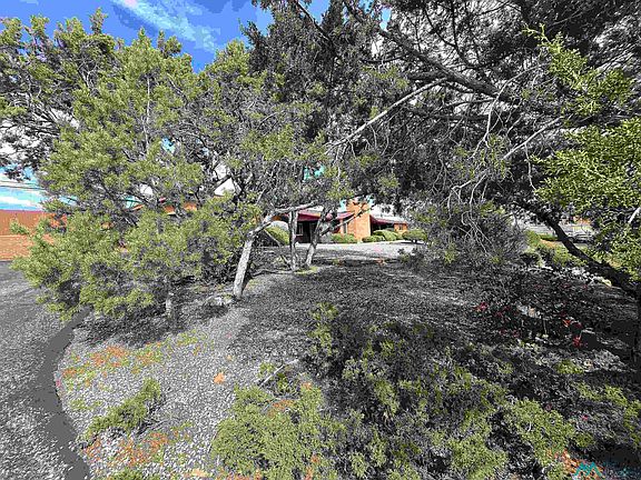 4th image of 1509 S Grandview Dr