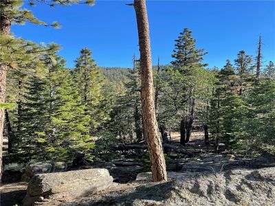 15328043 Piute Pines Rd #2, Caliente, CA, 93518
