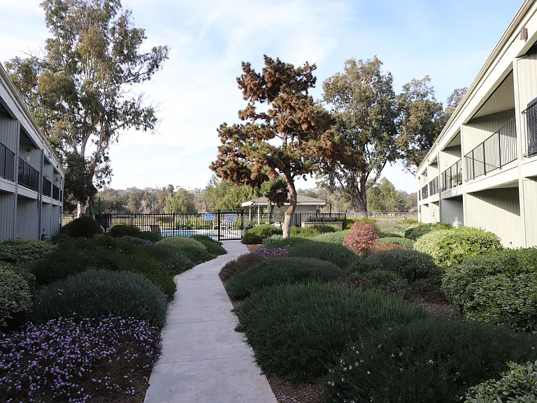 VISTA BONITA — Photo 13