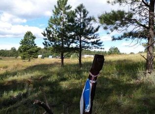 Tbd N Path, Cotopaxi, CO 81223