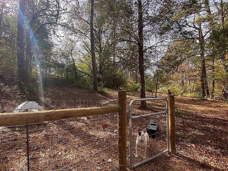 3255 Daniels Bridge Rd — Photo 14