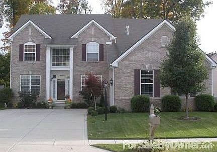 Mature Tree Wooded Backyard