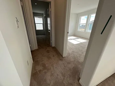 30111 Sunset Pier Dr — Photo 5