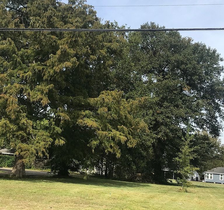 2nd image of 810 Grigsby Ave