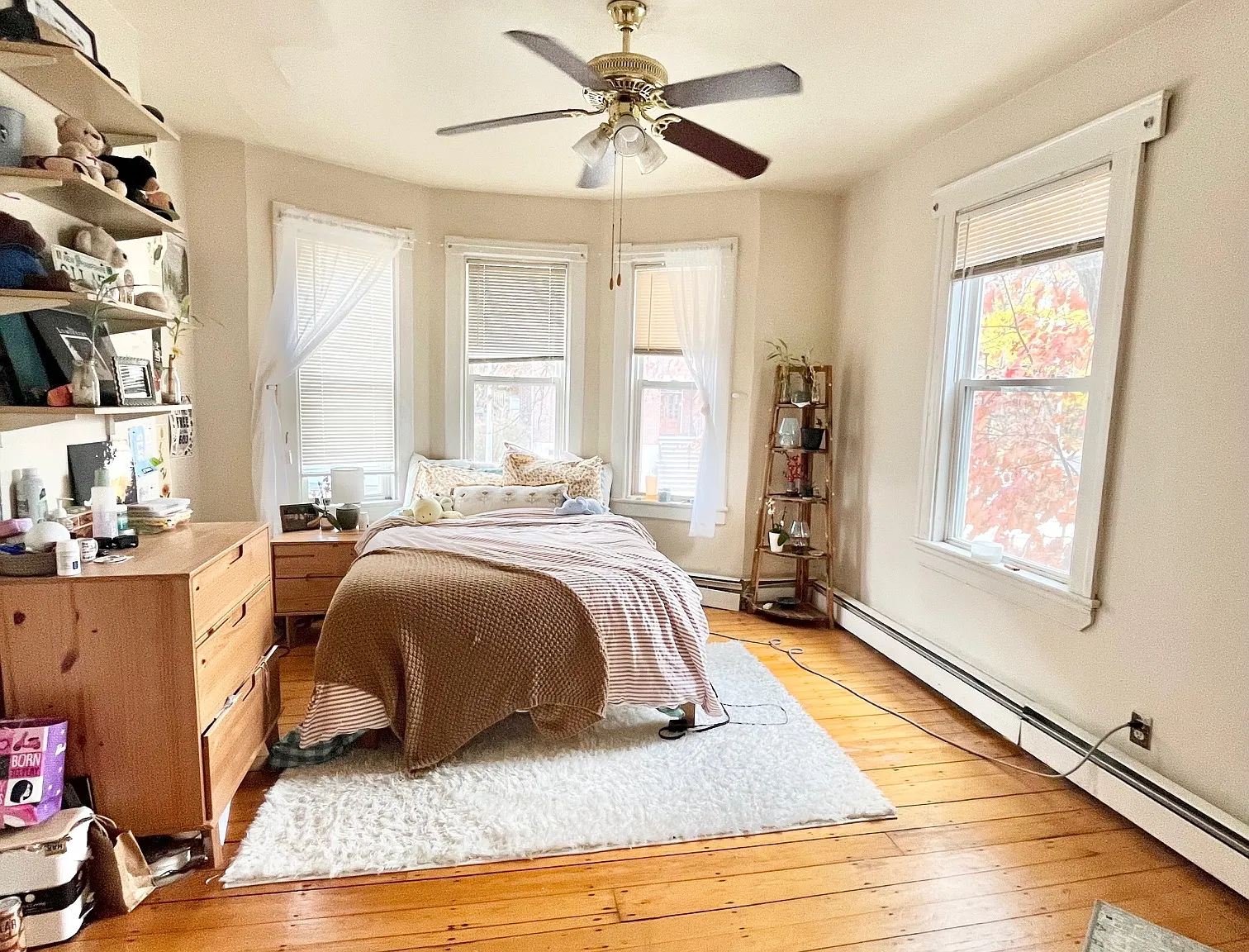 3 bed, 9999 sqft, $4,500 — Photo 4