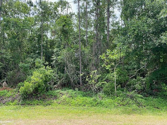 4th image of 2351 Allamanda Drive
