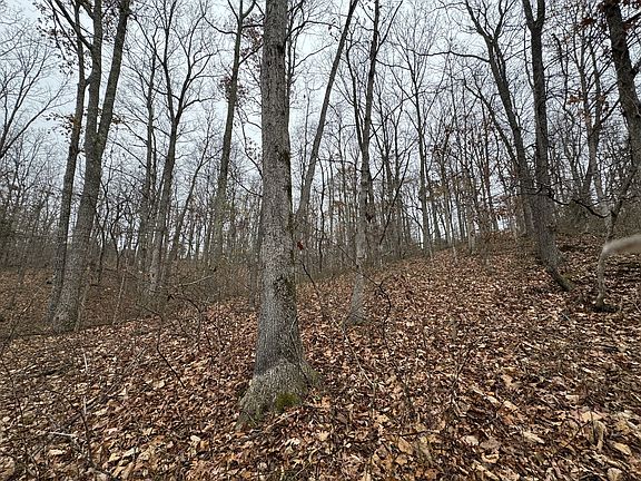 3rd image of 0 Rustling Oaks Dr Lot 76