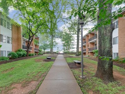 1800 Jefferson Park Ave APT 46, Charlottesville, VA, 22903