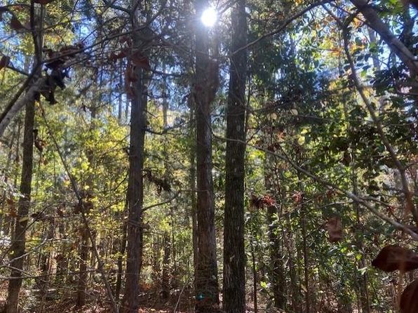 30th St SW, Georgiana, AL 36033
