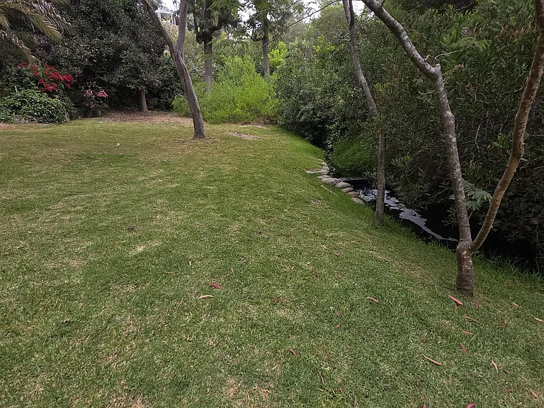 485 Morning Canyon Rd — Photo 25