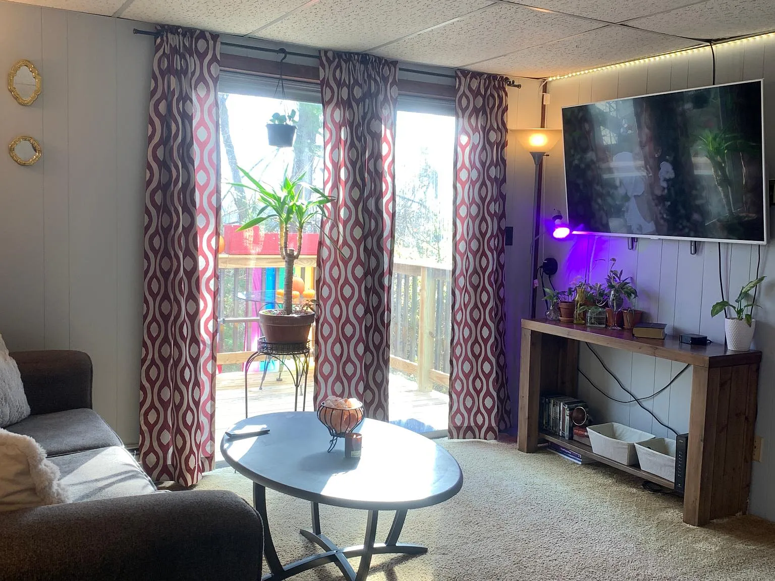 1 bed, $815 — Photo 4
