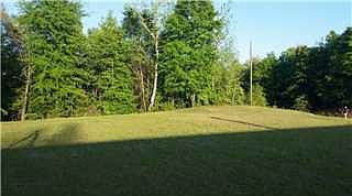 Awesome yard space!!!