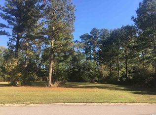 121 Pottery Landing Dr LOT 38, Conway, SC 29527