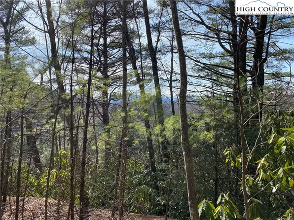 TBD Poplar Grove Road, Boone, NC 28607