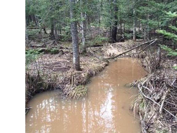 5th image of Xxxx Fors Road Silver Creek Twp
