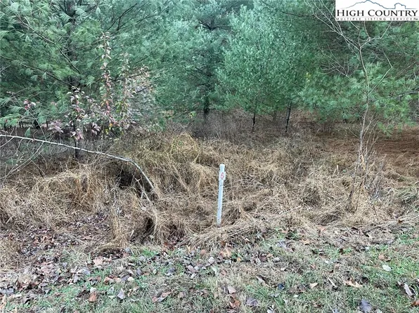 LOT 5A Evergreen #5A, Piney Creek, NC 28663