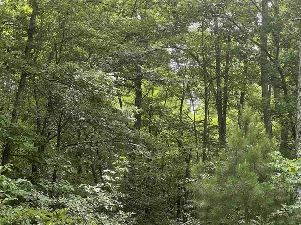 0 Strike King Dr Lot 193, Cedar Grove, TN 38321
