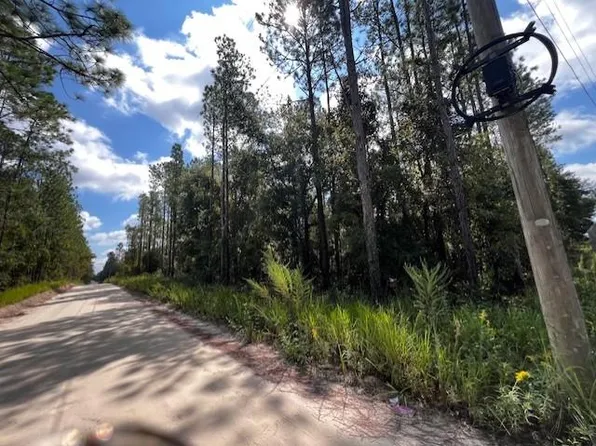 NW 15th Ave, Bell, FL 32008