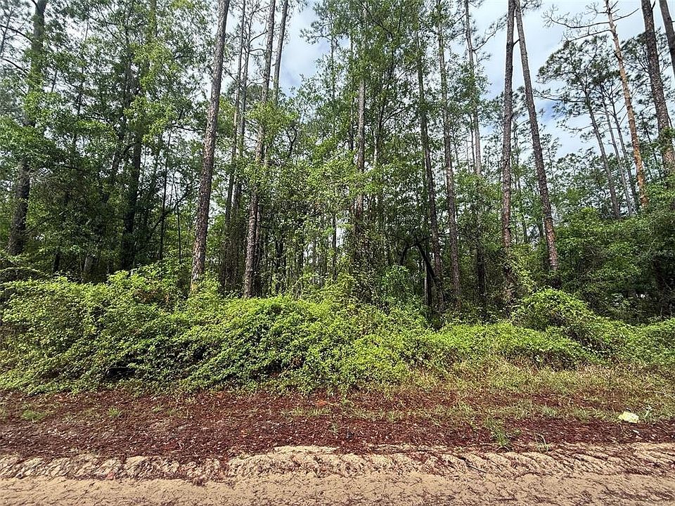 1st image of Seminole Ave Lot 24