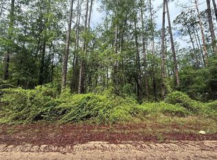 Seminole Ave Lot 24, Interlachen, FL 32148