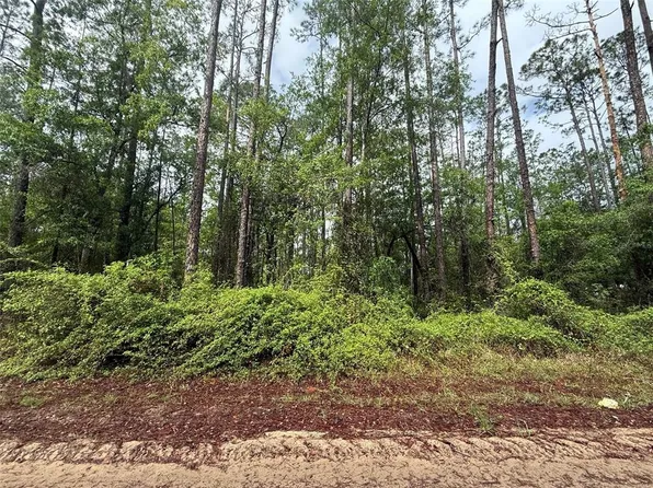 Seminole Ave Lot 24, Interlachen, FL 32148
