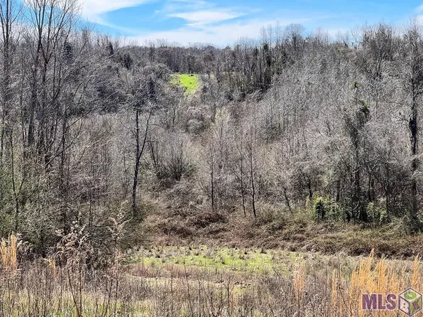 0 Highway 61 S, Natchez, MS 39120