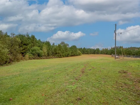 11481 Big Sandy Springs Rd, Vance, AL 35490