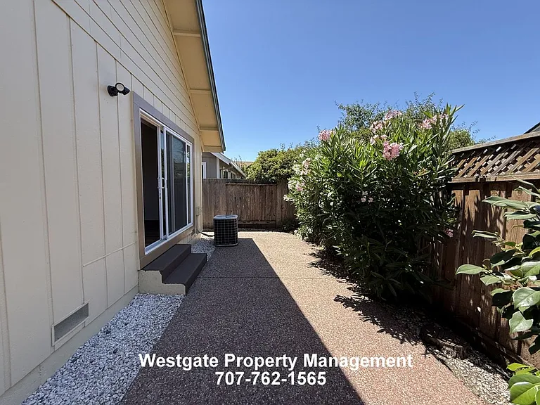 1417 Dandelion Way — Photo 4