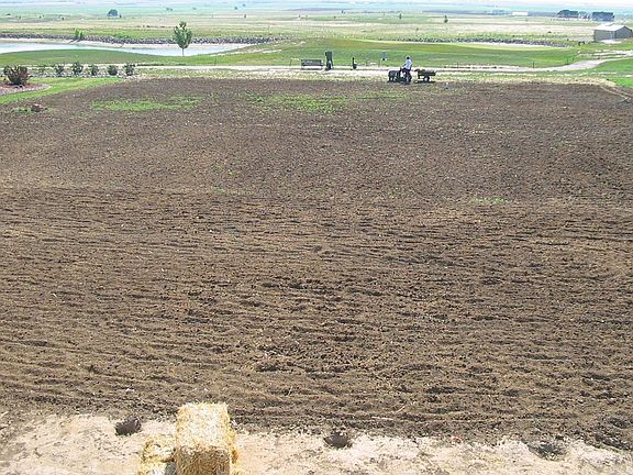 Huge backyard and Excellent Views, Backs up to the Golf Course