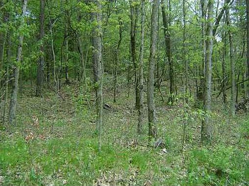2nd image of Oak Creek Ln