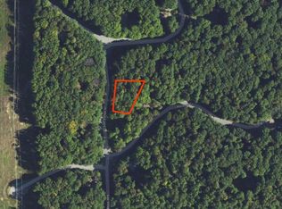 LOT 118 E Village Dr, Bellaire, MI