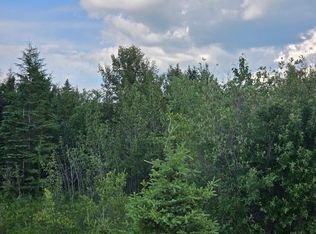 Three Mile Rd NE, Blackduck, MN 56630