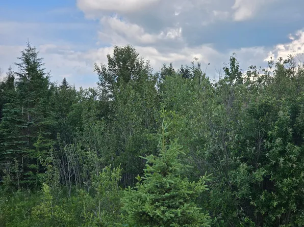 Three Mile Rd NE, Blackduck, MN 56630