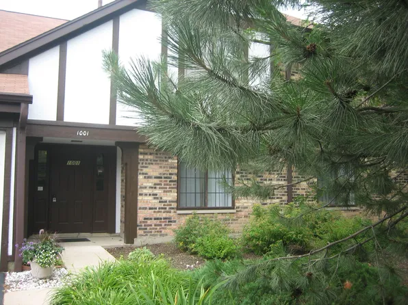1001 Yosemite Trl #A1, Roselle, IL 60172