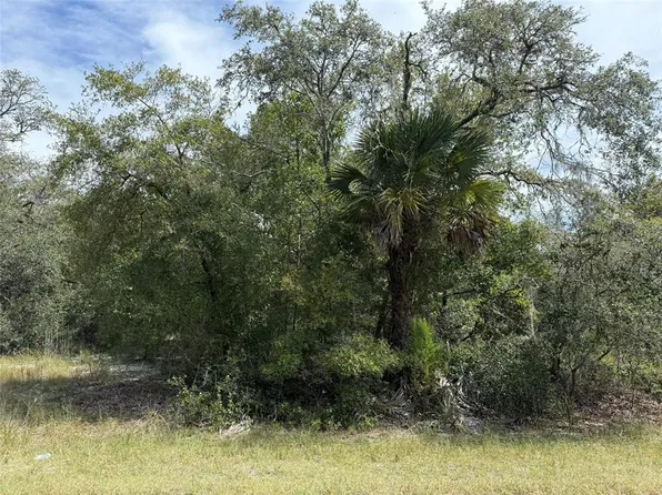 9793 N Alder Ave Lot 14, Crystal River, FL 34428