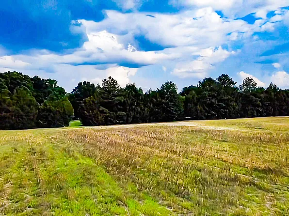 0B Mount Carmel Rd, Walterboro, SC 29488