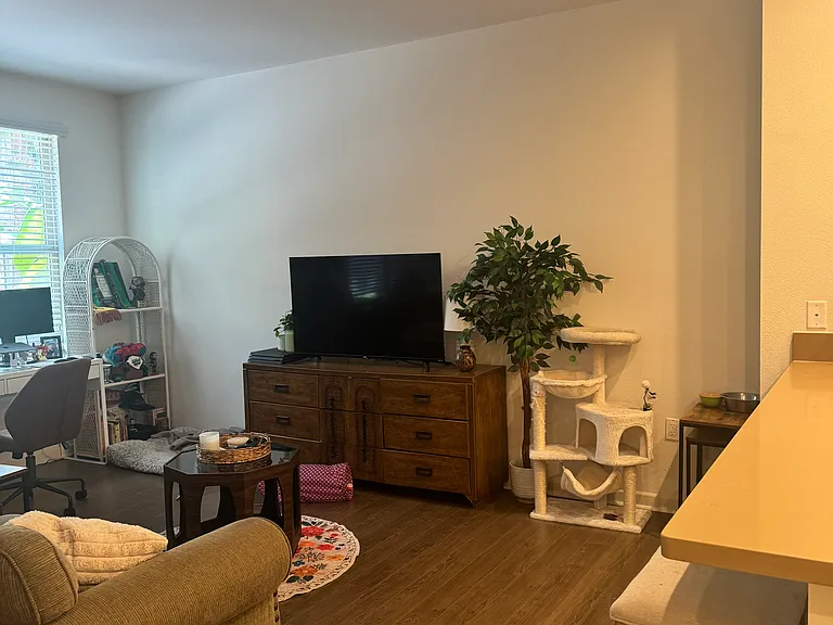 2120 S State College Blvd #1074 — Photo 11