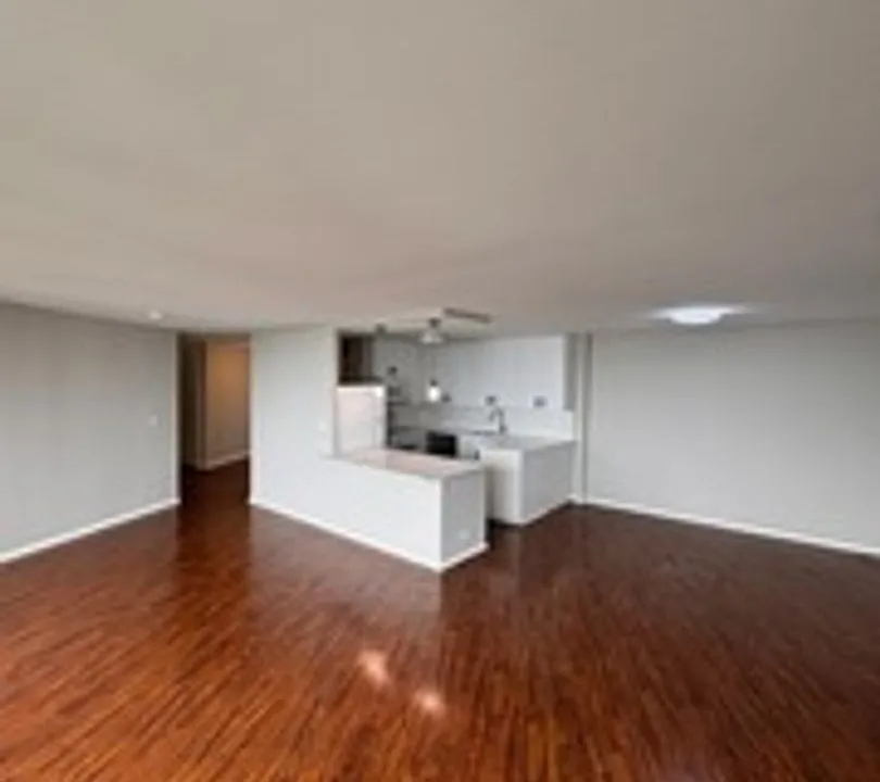 505 N Lake Shore Dr #1407-1408